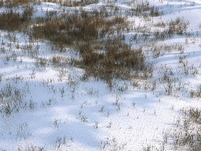 Garden Ornaments with Snowy Ground and Dry Grass in Winter Landscape 3d model