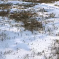 Garden Ornaments with Snowy Ground and Dry Grass in Winter Landscape