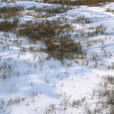 Garden Ornaments with Snowy Ground and Dry Grass in Winter Landscape 3d model Garden Ornaments with Snowy Ground and Dry Grass in Winter Landscape 3d model