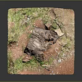 Natural Tree Stump Scene Model With Green Grass And Red Dirt