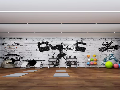 Contemporary Home Gym With White Brick Wall Mural Weightlifting Art Exercise Mats And Medicine Balls 3d model