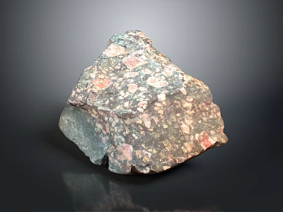 Natural Wood Stone Sample with Colorful Speckled Texture and Irregular Shape 3d model
