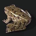 Realistic 3D Frog Model With Brown And Yellow Patterns And Large Eyes On Black Background
