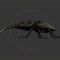 Modern Beetle Beetle Beetles Dung Beetles Scarab 3d model