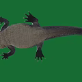 Black Crocodile With Open Mouth And Sharp Teeth On Green Background Showing Fierce Look