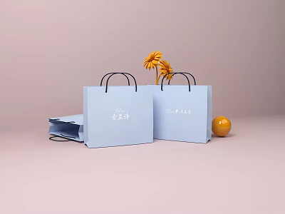 Light Blue Shopping Bags With Black Handles Yellow Flowers And Orange Ball 3d model