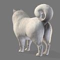 Modern Dog Chai Dog Fox Small Fox Wild Fox White Fox 3d model