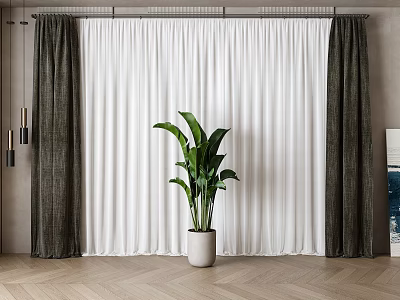 White and Dark Brown Curtains in Modern Interior with Light Wooden Floor and Green Plant 3d model