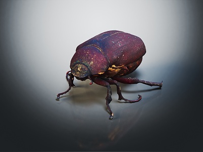 modern beetle insect 3d model