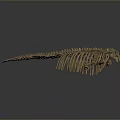 Prehistoric Animal Skeleton with Long Spine Rib Cage and Horned Skull