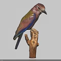 Colorful Bird with Purple Blue and Green Feathers Perched on Wooden Tree Stump
