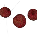 Fresh Ripe Red Textured Lychee Fruits with Rough Skin on White Background