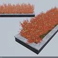 Red And Orange Foliage Shrubs In Rectangular Stone Planters With Light Edges 3d model