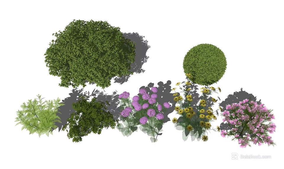 Various Types Of Shrubs With Rounded Foliage And Flowering Purple Yellow Blooms 3d model 