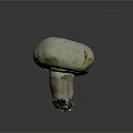 Fresh White Mushroom with Smooth Round Cap and Firm Stalk on Dark Surface