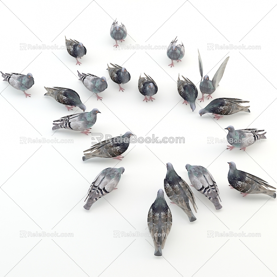 Pigeons 3d model