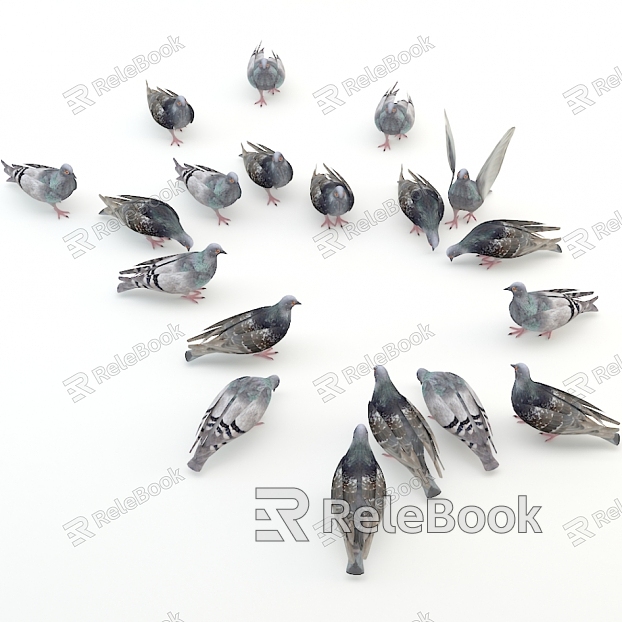 Pigeons model