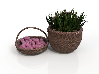 Woven Baskets Interior Display With Small Basket Pink Items And Large Basket Green Plants 3d model