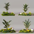 Garden Plant Combinations With Palm Trees Large Leaf Plants Purple Flowers Green Grass And Stones