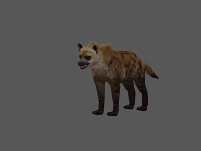 Reptile Lizard In Natural Environment With Scaly Skin And Long Tail 3d model