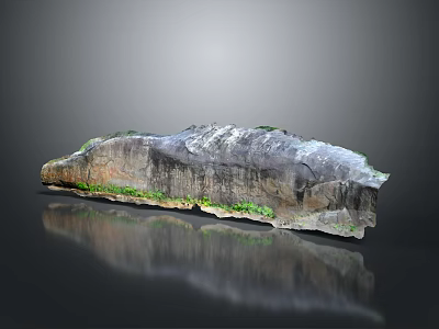 Natural Rock Structure With Green Vegetation White Surface Base Greenery And Black Reflection 3d model