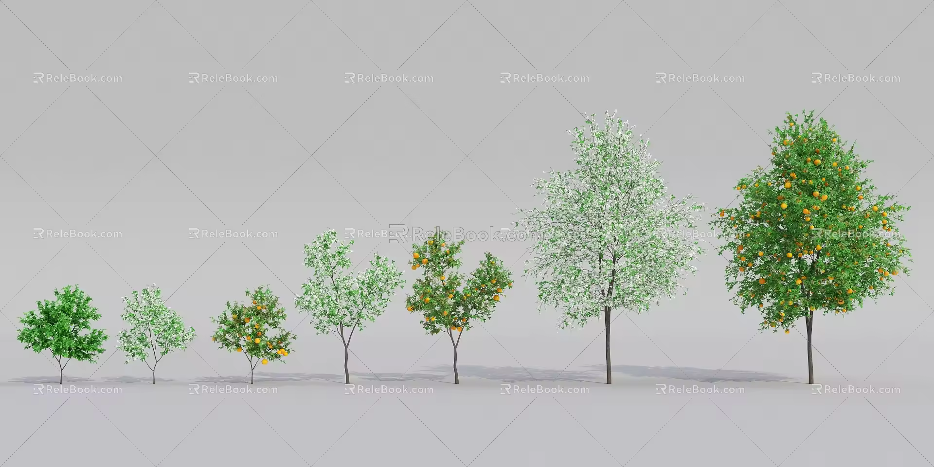 Modern Tree Fruit Tree 3d model
