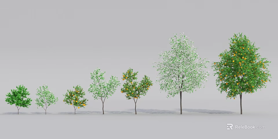 Different Types Of Arbor Trees With Green Leaves And Orange Fruits Arranged In Garden 3d model 