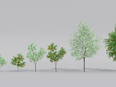 Different Types Of Arbor Trees With Green Leaves And Orange Fruits Arranged In Garden 3d model