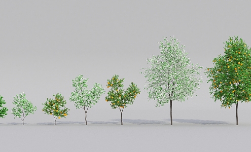 Modern Tree Fruit Tree 3d model