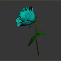 Turquoise Rose Plant With Vibrant Layered Petals Fresh Green Leaves And Stem