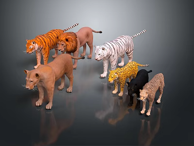 leopard leopard black leopard lion tiger animal wild animal 3d model