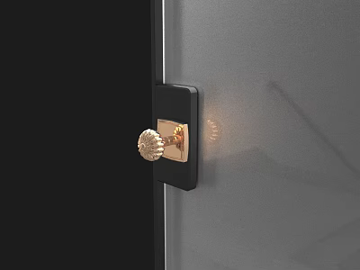 Elegant Black Door Knob With Gold Accent For Modern Gray Door Design 3d model