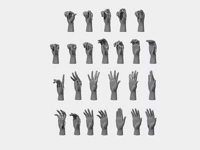Set of Model Hands Showing Various Gestures in Different Poses 3d model