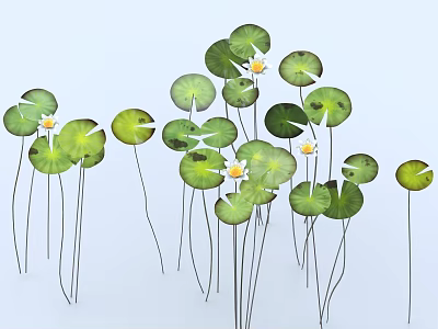 Fresh Green Lily Pads and Yellow Lotus Flowers with Slender Stems 3d model