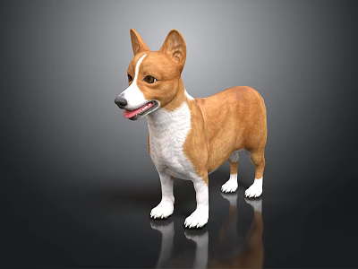 Cute Brown and White Corgi Standing Against Black Background With Clear Reflection 3d model