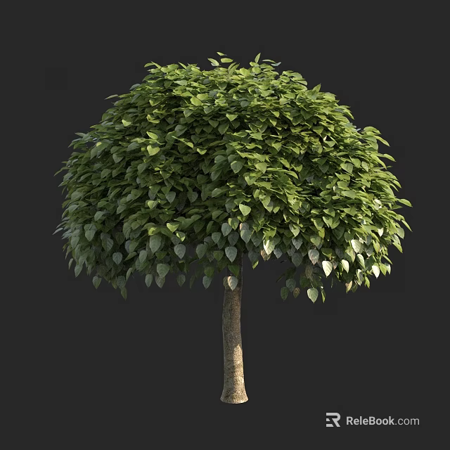 Lush Green Arbor With Round Canopy And Dense Foliage For Garden Landscaping 3d model 