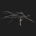 Delicate White Grass Like Plants With Thin Stems On Black Background 3d model