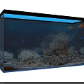 Colorful Tropical Fish Swimming in Aquarium with Coral Reef and White Sand