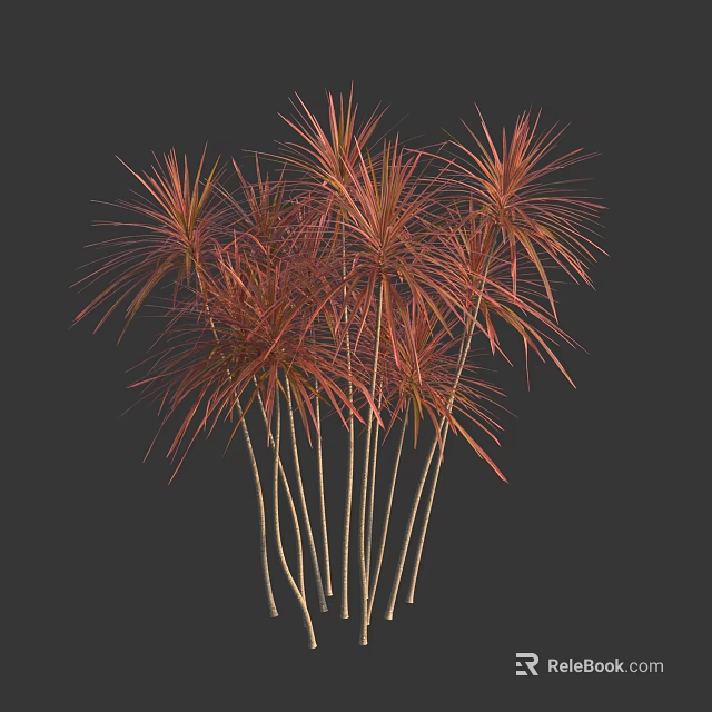Elegant Ornamental Tropical Trees With Red Leaves And Slender Clustered Trunks 3d model 