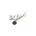 Black Ceramic Vase with Branches and Yellow Leaves on White Background Minimalist Decorative Arrangement
