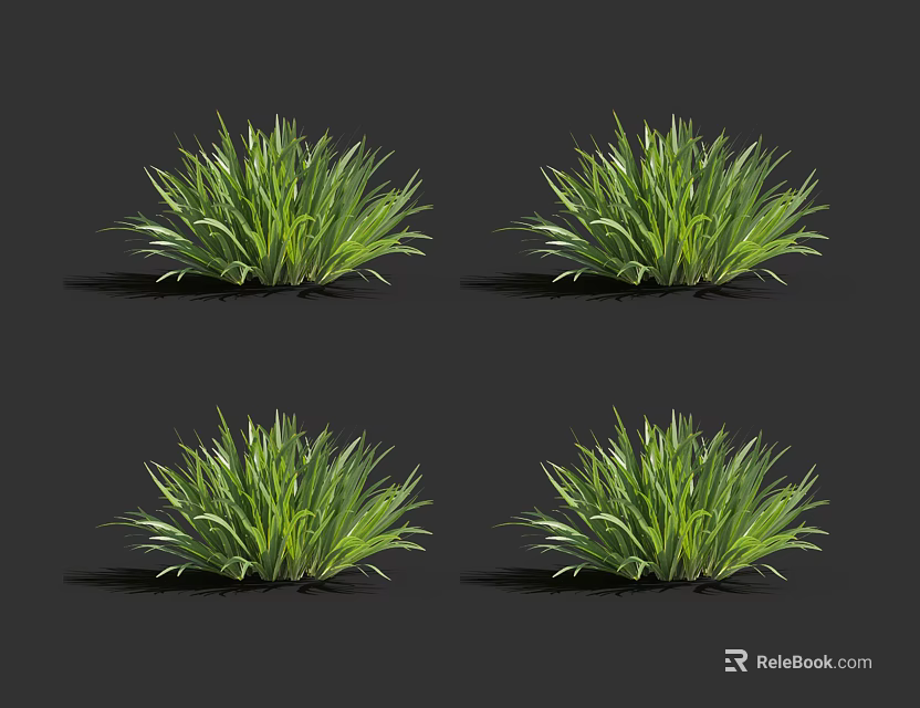 Four Green Grass Plants Displayed On Dark Background For Landscaping Use 3d model 
