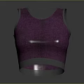 Shiny Metallic Sleeveless Crop Top With Fitted Design For Daily Use