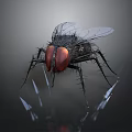 Fly with red compound eyes black body and transparent wings on reflective surface