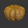 Fresh Orange Pumpkin With Smooth Texture On Dark Reflective Background 3d model