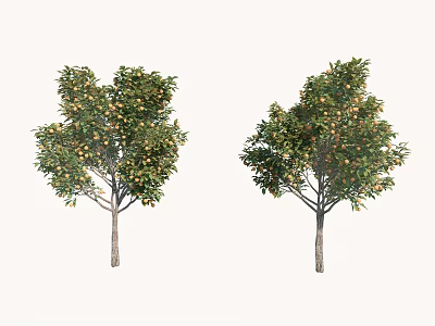Two Green Arbor Trees With Lush Foliage And Ripe Fruits In Natural Setting 3d model