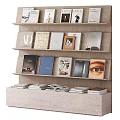 Stylish Books And Magazines Display On Shelves 3d model