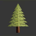 Green Layered Decorative Plant with Tree Like Structure and Textured Surface