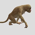 Cute Monkey With Light Brown Fur And Dark Eyes In Crouching Position 3d model