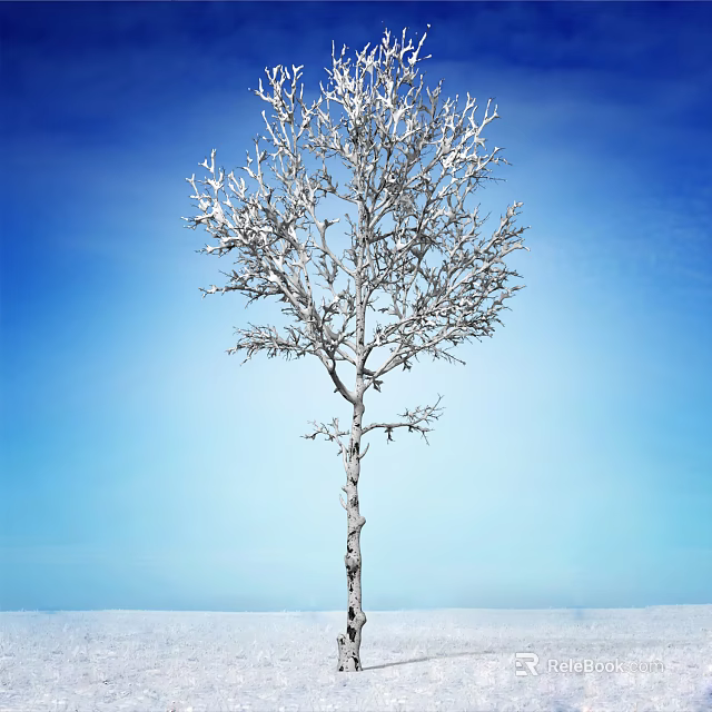 Bare Arbor With Snow Covered Branches Against Blue Sky Background 3d model
