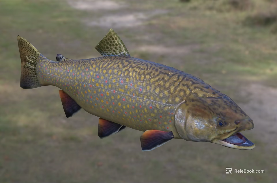 Colorful Speckled Brook Trout With Yellow Brown Body Orange Fins And Open Mouth 3d model 